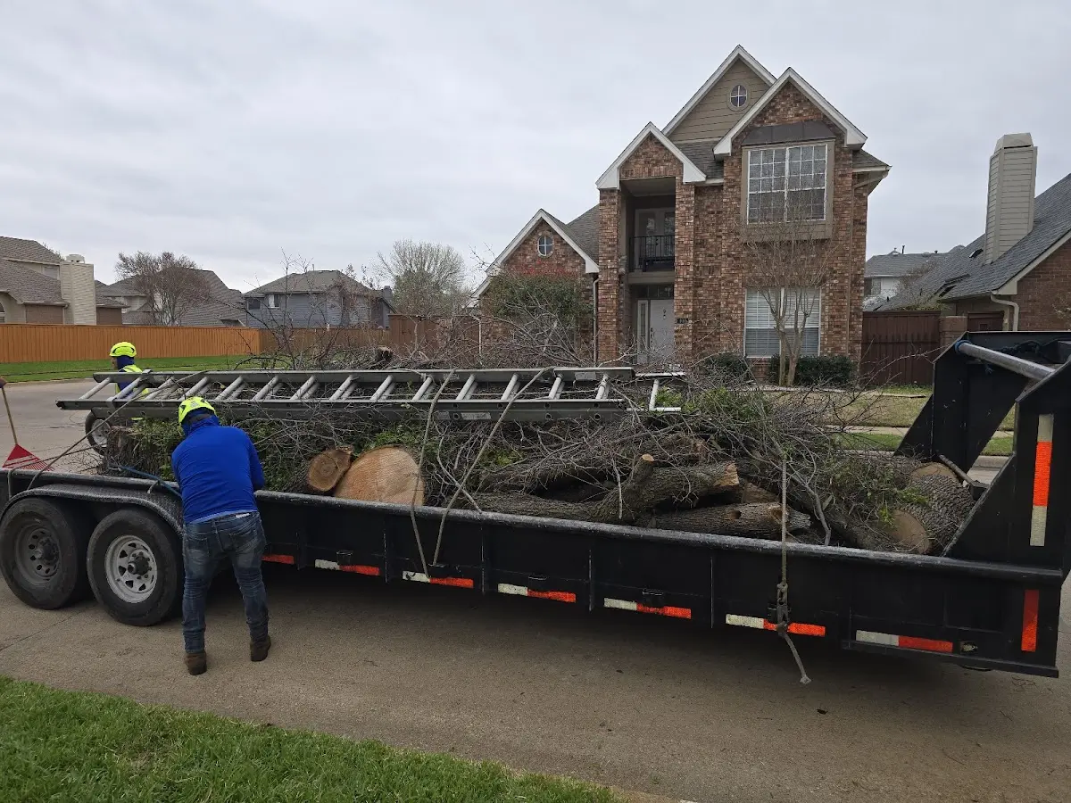 Expert Lot Clearing with proper safety equipment in Frederica